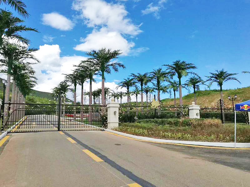 阳江仿真树